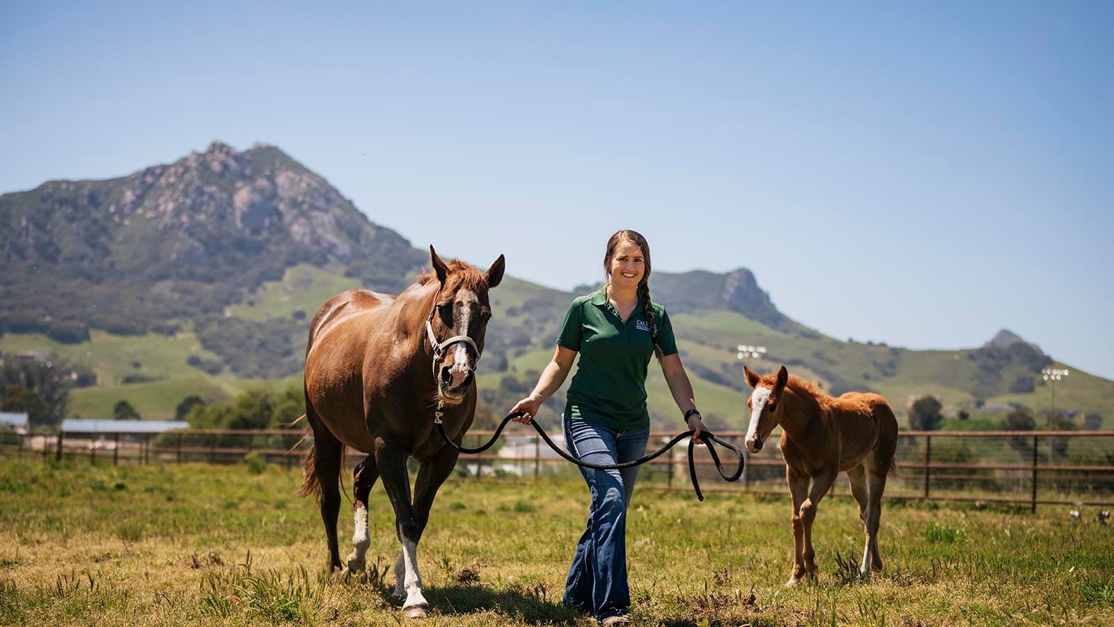 A student leads a horse in a field towards the camera with craggy hills in the background