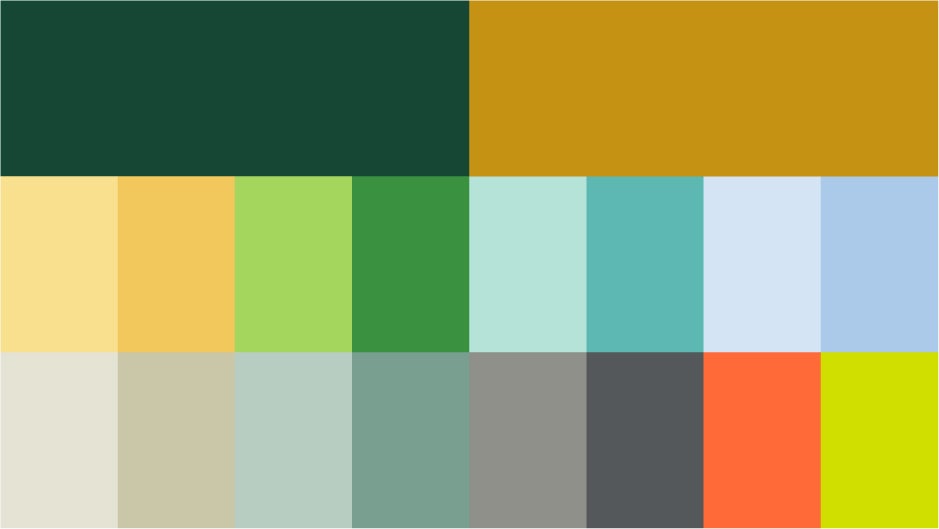 an image showing the brand's entire color palette