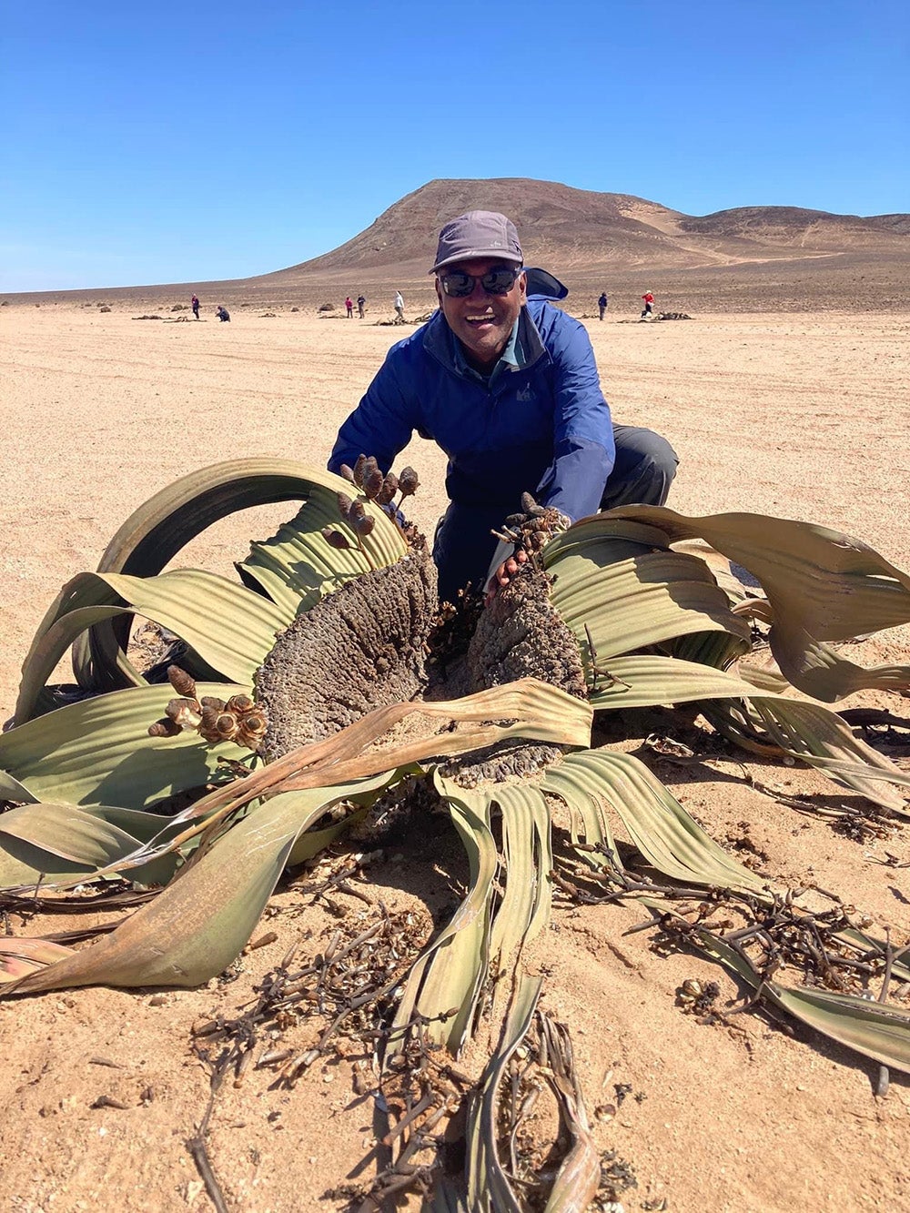 Nishanta ‘Nishi’ Rajakaruna in the Namib Desert.