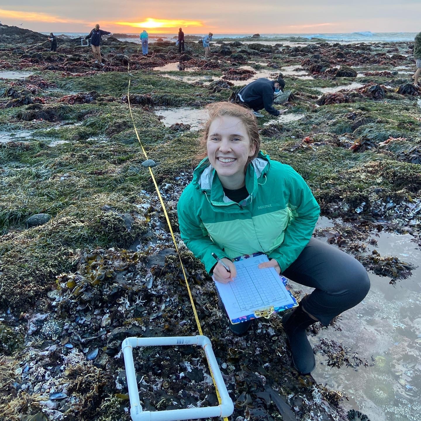 Fourth-year student Audrey Sarin of Seattle records data at a tidal pool