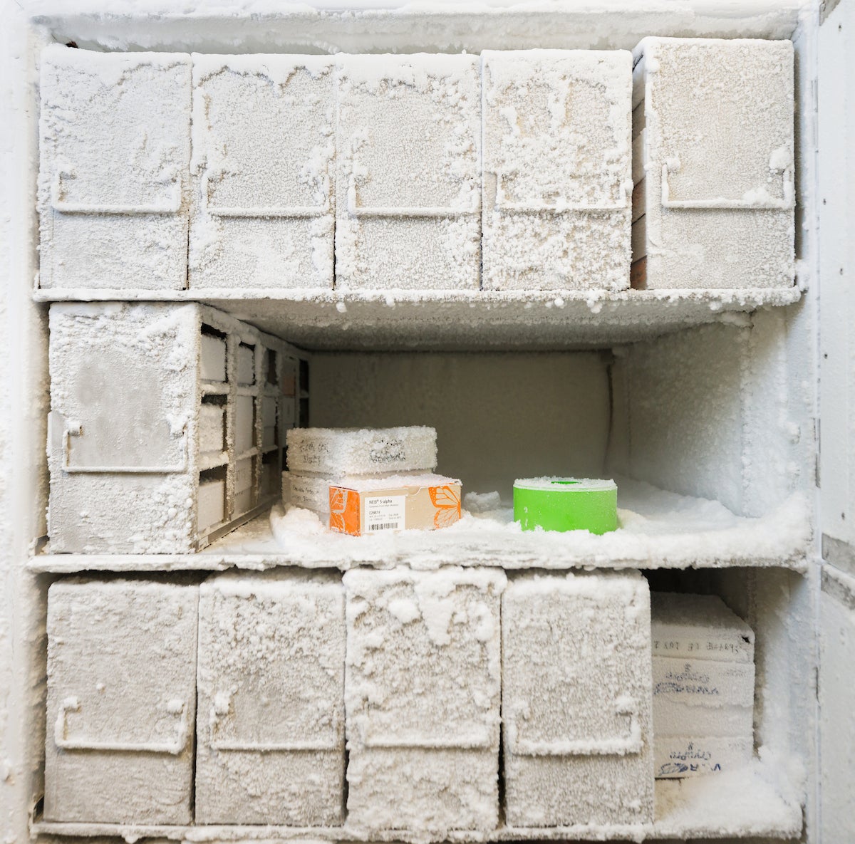 A freezer in a Cal Poly lab.stores samples of prehistoric bacteria at negative 80°C