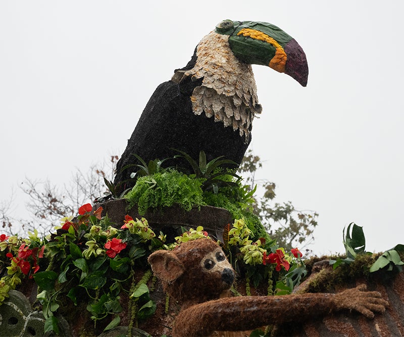 A colorful toucan oversees the team repairing the robot 
