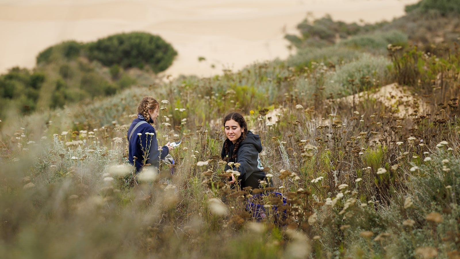 students in dune plants