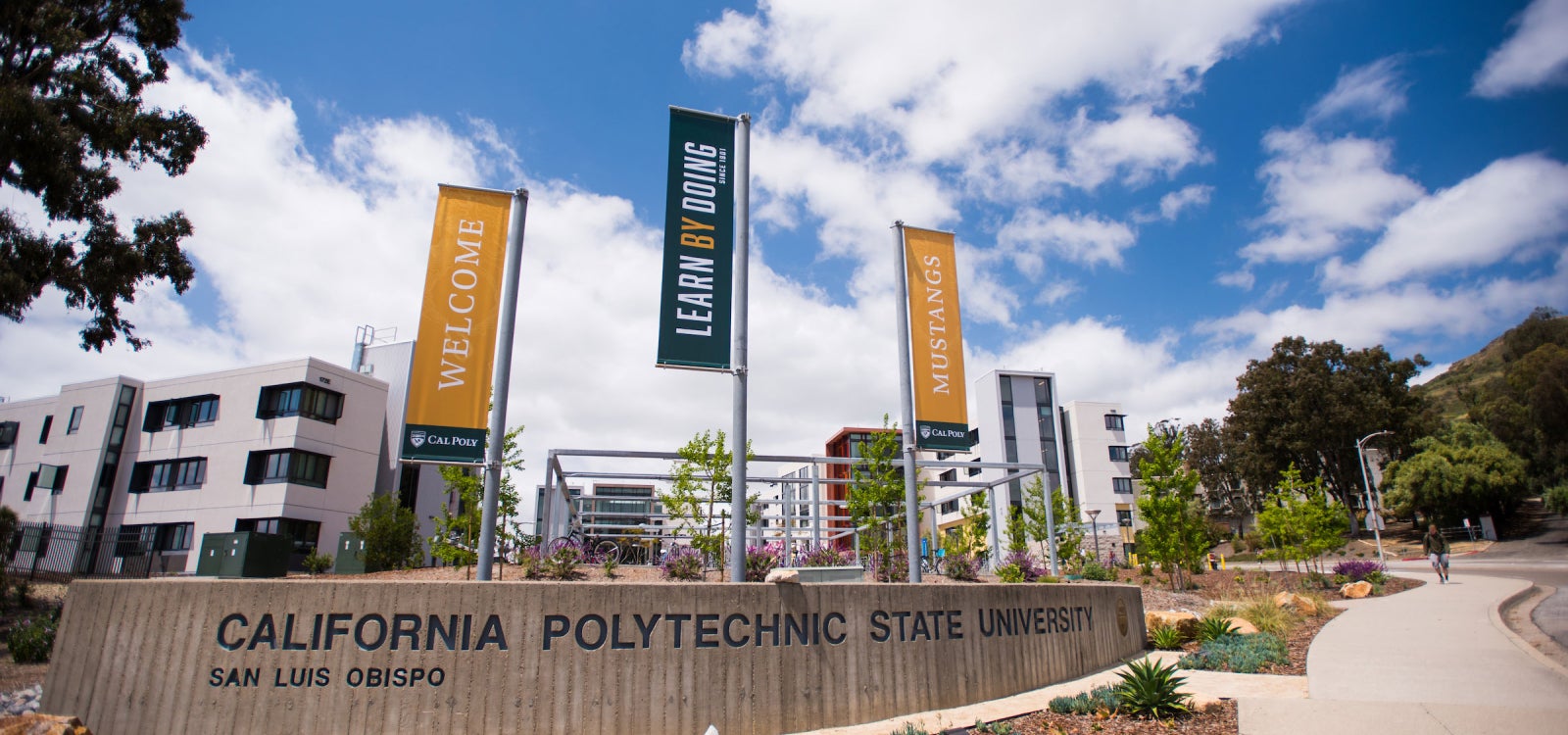 The entrance to Cal Poly on Grand Avenue showing vertical banners that state Welcome, Mustangs and Learn by Doing