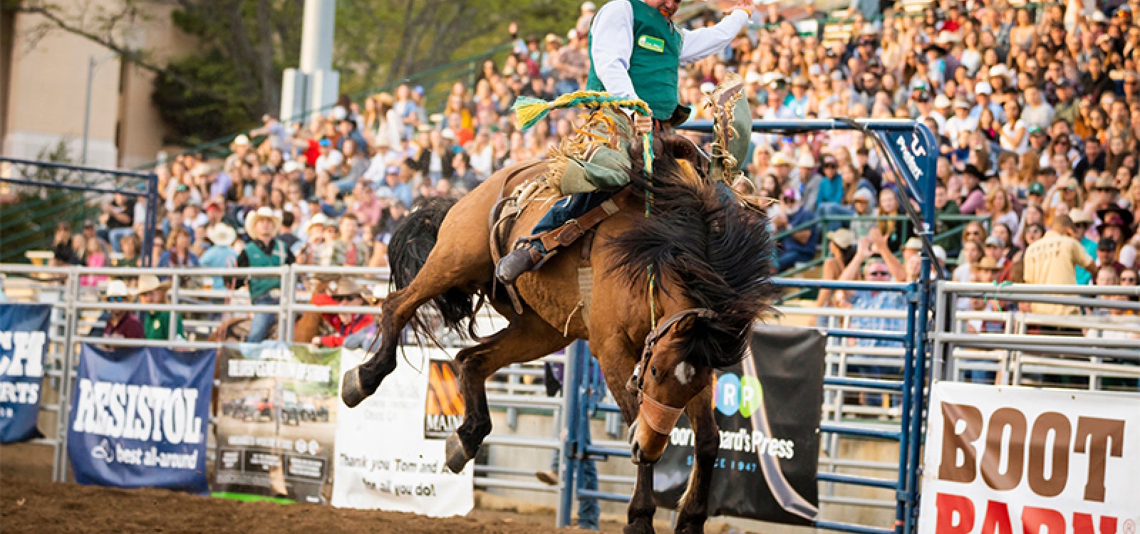 A saddle bronc rider competes at the 2019 Cal Poly Rodeo arena near a Boot Barn sponsor banner