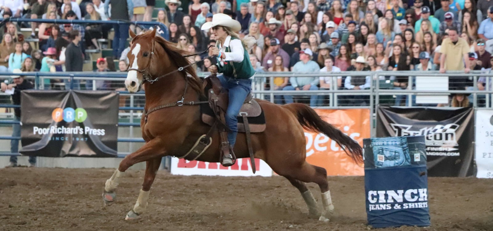 A female member of the Cal Poly Rodeo Team rides a quarterhourse on a temporary rodeo arena at Spanos Stadium