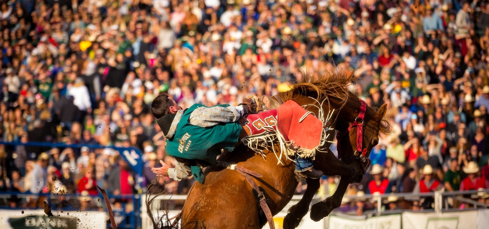 A Cal Poly Rodeo rides a bucking bronc in front of packed grandstands at Spanos Stadium on the Cal Poly campus