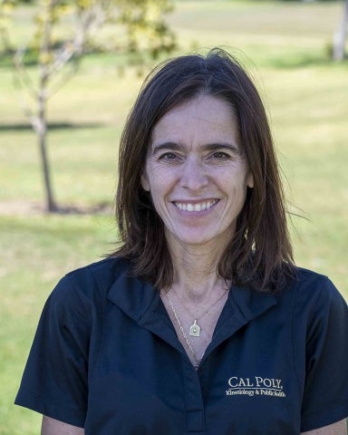 Professor Suzanne Phelan
