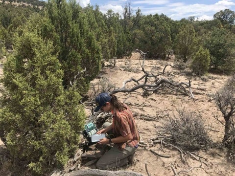 A student researcher uses monitoring equipment as part of a study on how manmade light and noise affects birds in the wild