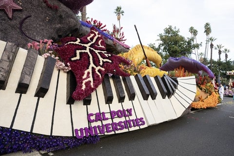 A small manta ray hovers near the float keyboard