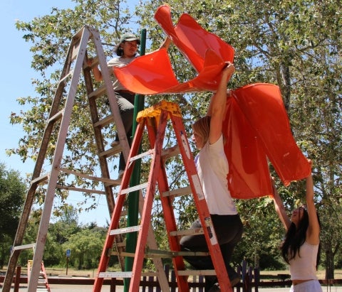Three students using two ladders assemboe the orange poppy flower leaves of the sculpture