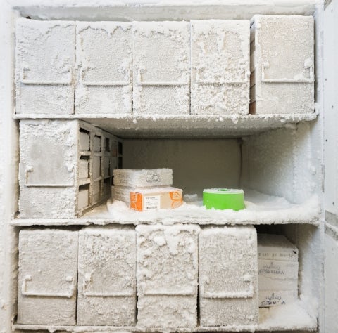 A freezer in a Cal Poly lab.stores samples of prehistoric bacteria at negative 80°C