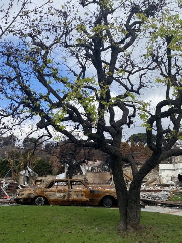 Destruction in the aftermath of the 2019 fire in Paradise, California in 2019