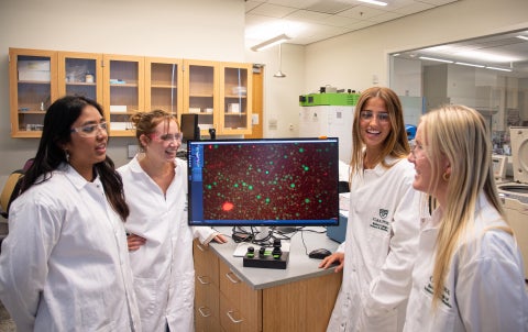 Four biochemistry research students discuss green fluorescent protein data pictured on a computer monitor