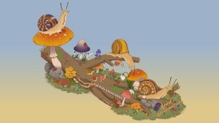 Rose float rendering