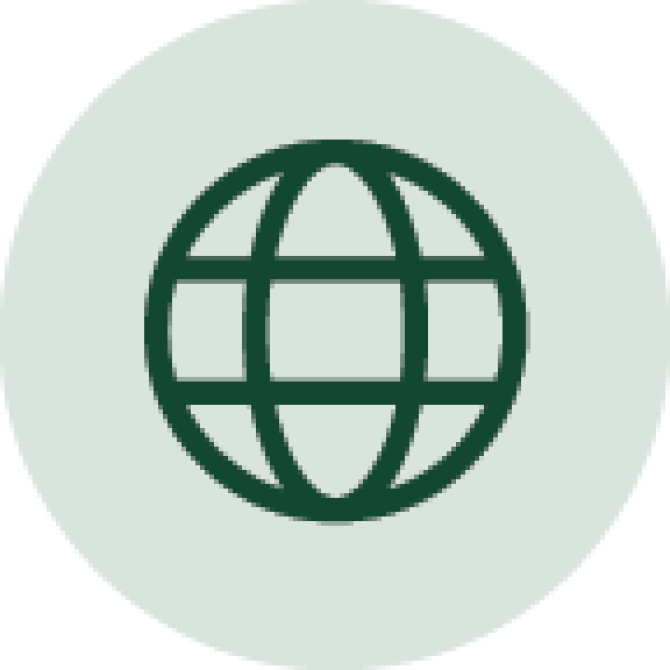 Icon of a globe