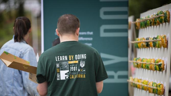 Person wearing a Cal Poly t-shirt places green and gold donuts on a display.