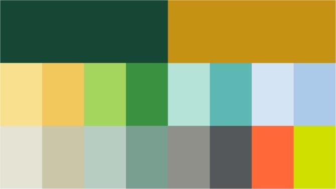 an image showing the brand's entire color palette