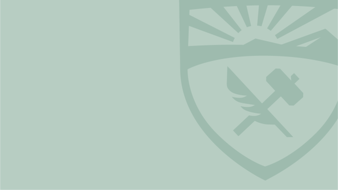 Example of use of the shield graphic.