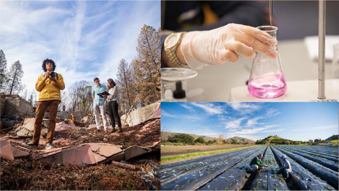 Three examples of brand photography.