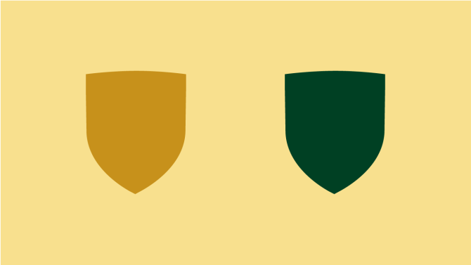 Examples of the filled shield icon