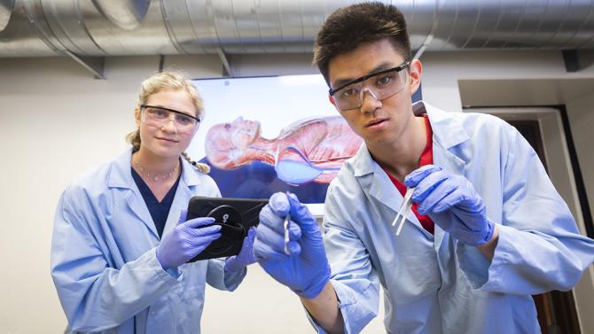 Two students work together in the cadaver lab