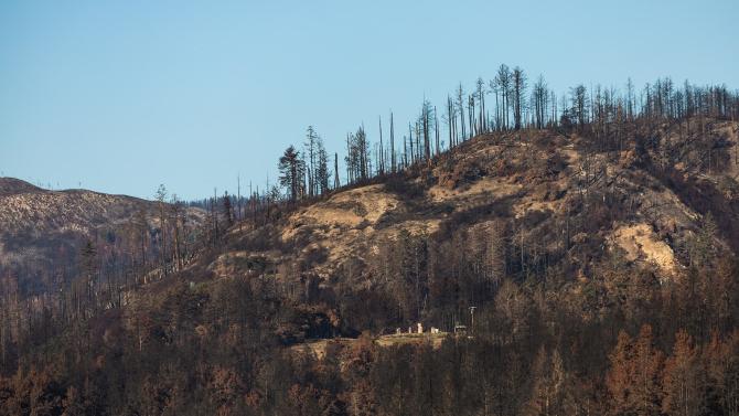 The burned landscape of Swanton Ranch after the massiv wildfire