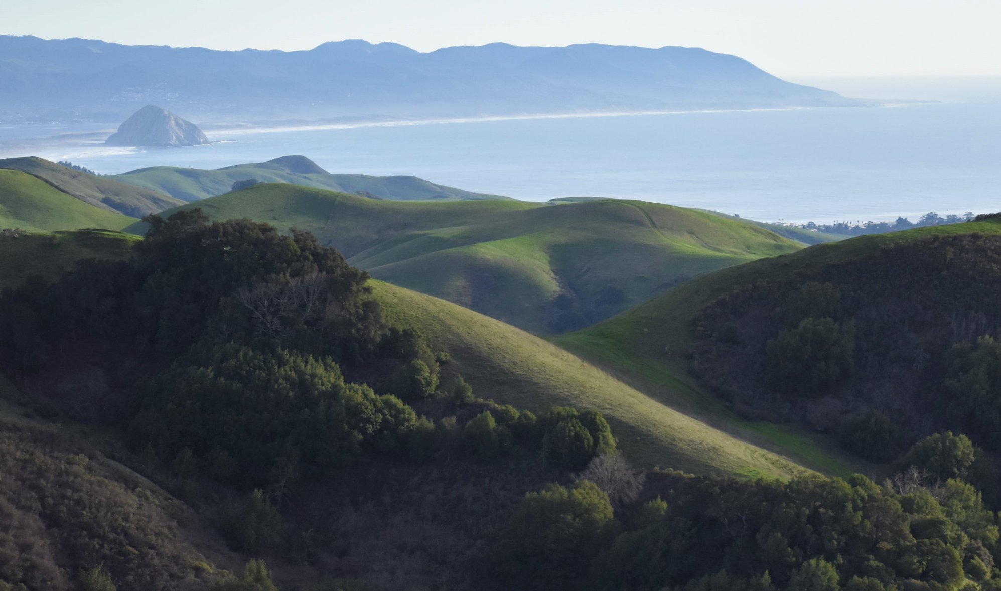 A view of Morro Rock in Morro Bay and the coastline from a hilltop several miles away