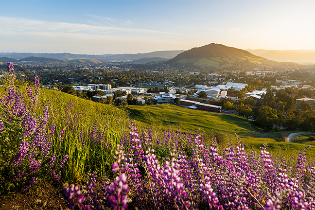 The view from near the Cal Poly P looking south over the campus onto Cerro San Luis peak