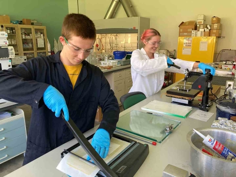 Students working in the Costanzo Lab