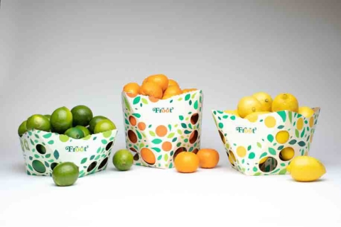 The Froot team initially focused on mandarins, then limes and lemons. The cardboard packages entailed structural and graphic designs, so sub-teams were formed for each focus.