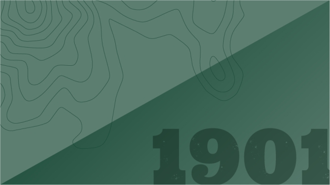 Graphic in Poly green with 1901 element